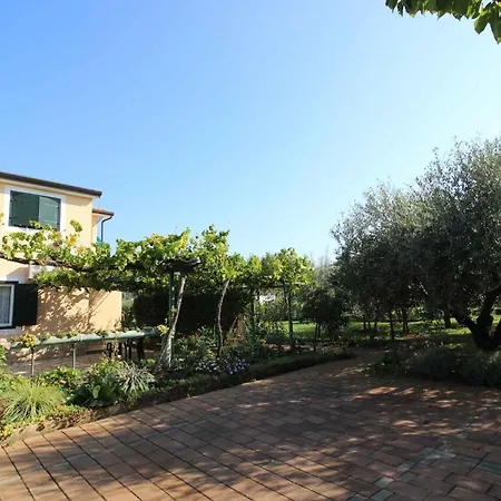 In Novigrad - Istrien 46738 Apartment Karpinjan